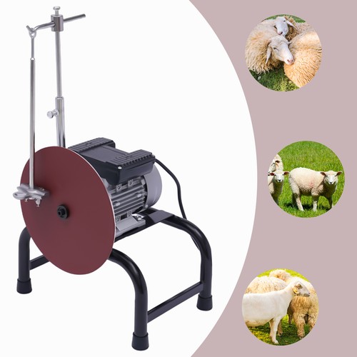 Electric sheep clipper - sheep,